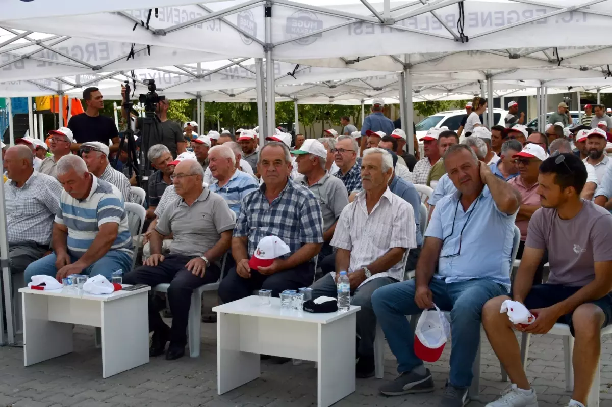TZOB Başkanı Bayraktar: Ayçiçeği Üretimi Kuraklıktan Olumsuz Etkilendi