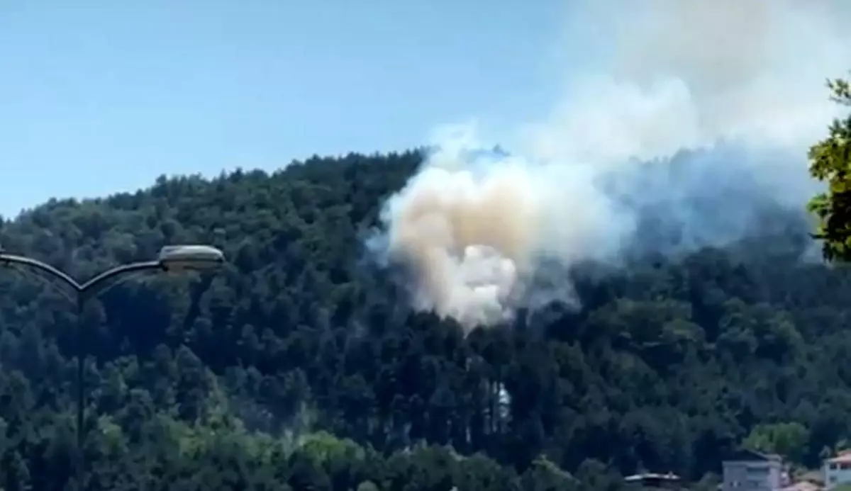 Zonguldak\'ta Orman Yangını Kontrol Altına Alındı
