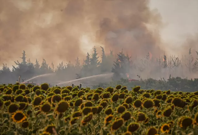 Tekirdağ'da 42 saattir süren orman yangını kısmen kontrol alatına alındı