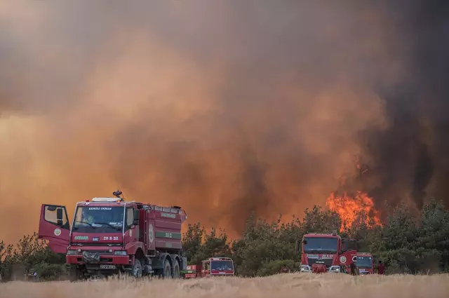 Tekirdağ'da 42 saattir süren orman yangını kısmen kontrol alatına alındı