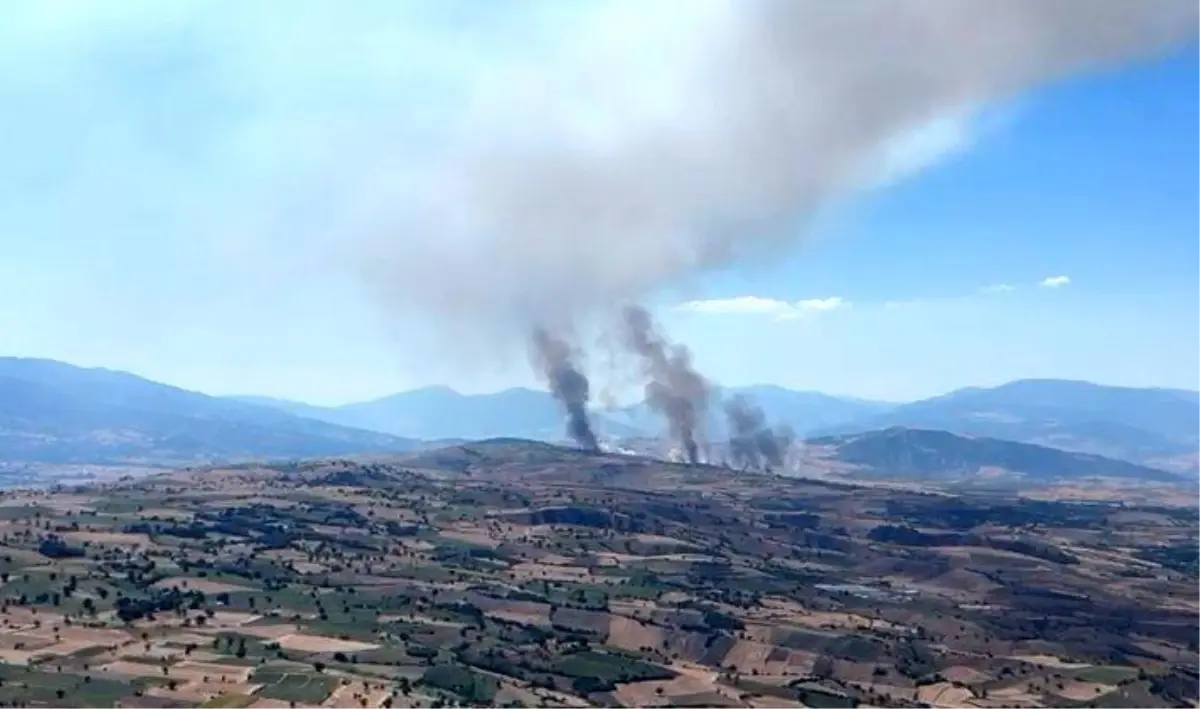 Tokat\'ta Buğday Tarlasında Yangın Çıktı
