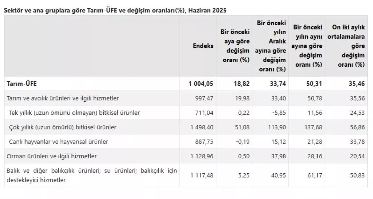 Tarım Ürünleri Fiyatları Haziranda Yükseldi
