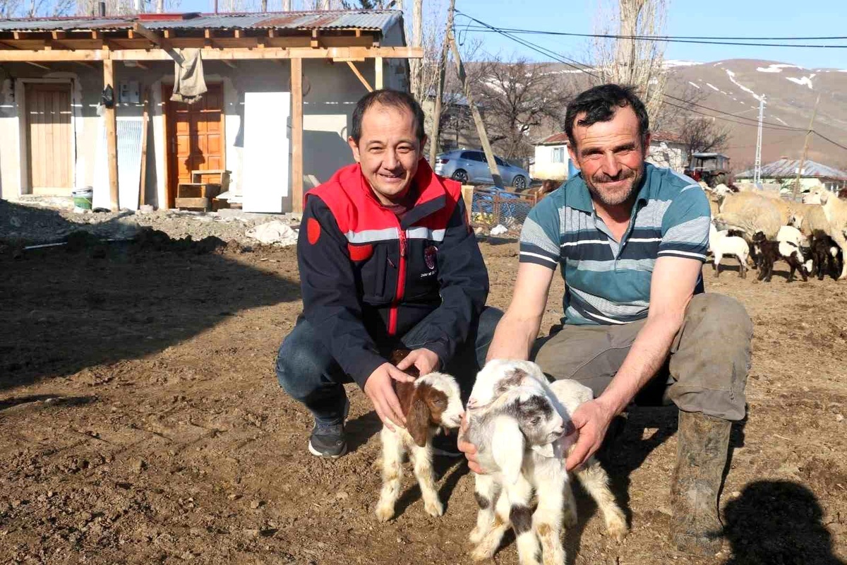 Koyunculuk Kredisi 1.2 Milyon Liraya Yükseldi