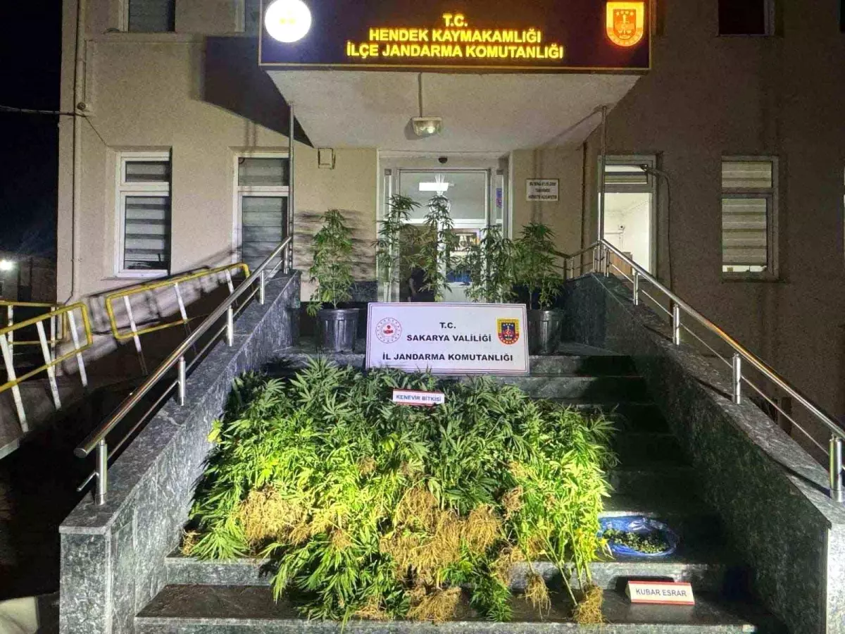 Sakarya\'da Uyuşturucu Operasyonu: 1 Tutuklama