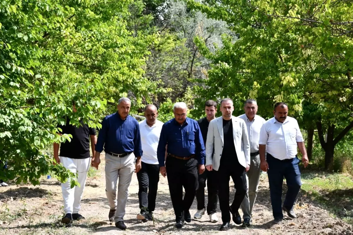 Malatya\'da Kayısı Üreticileri Don Felaketiyle Zor Durumda