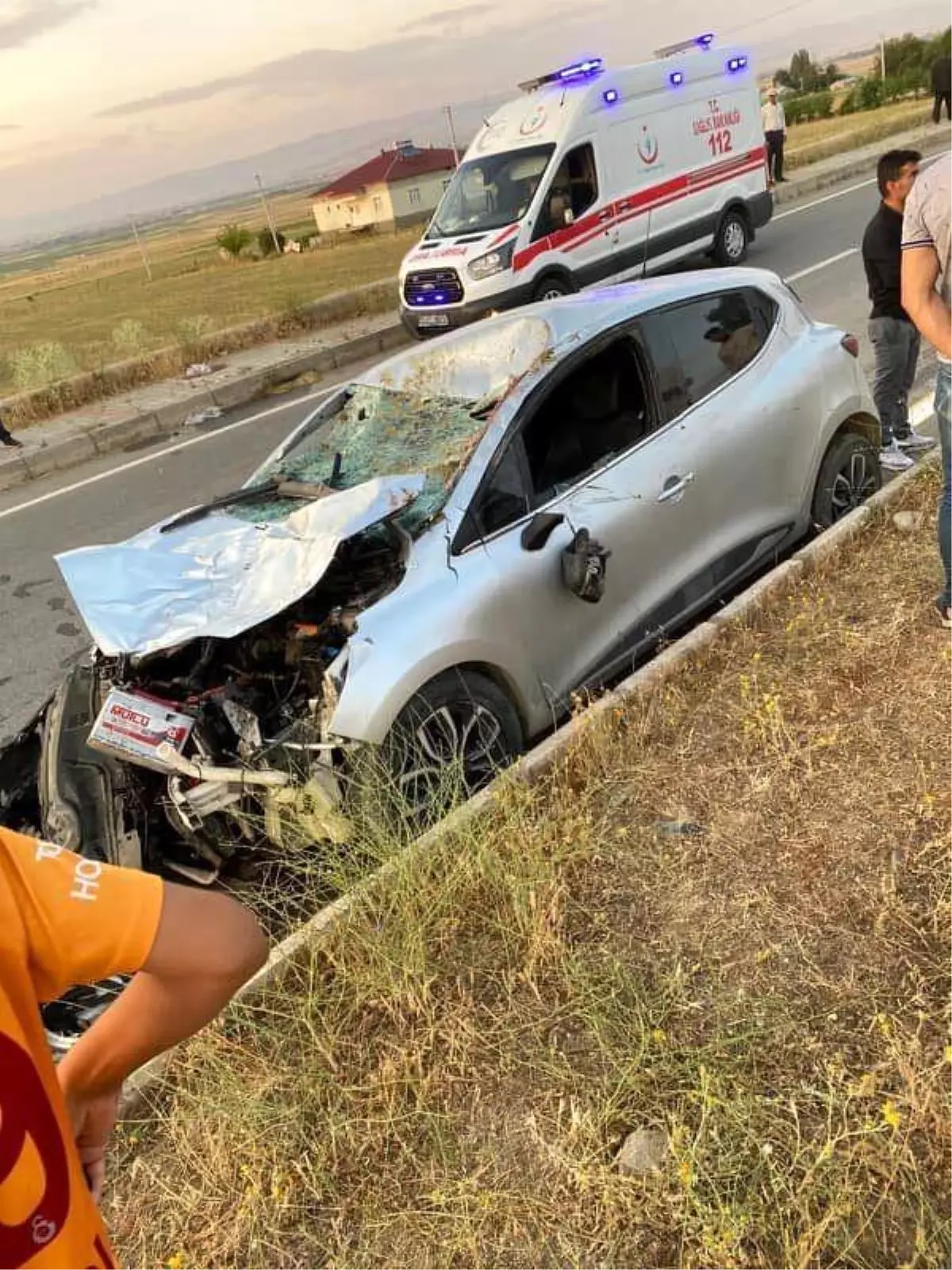 Muş\'ta Otomobil İneğe Çarptı, 1 Yaralı