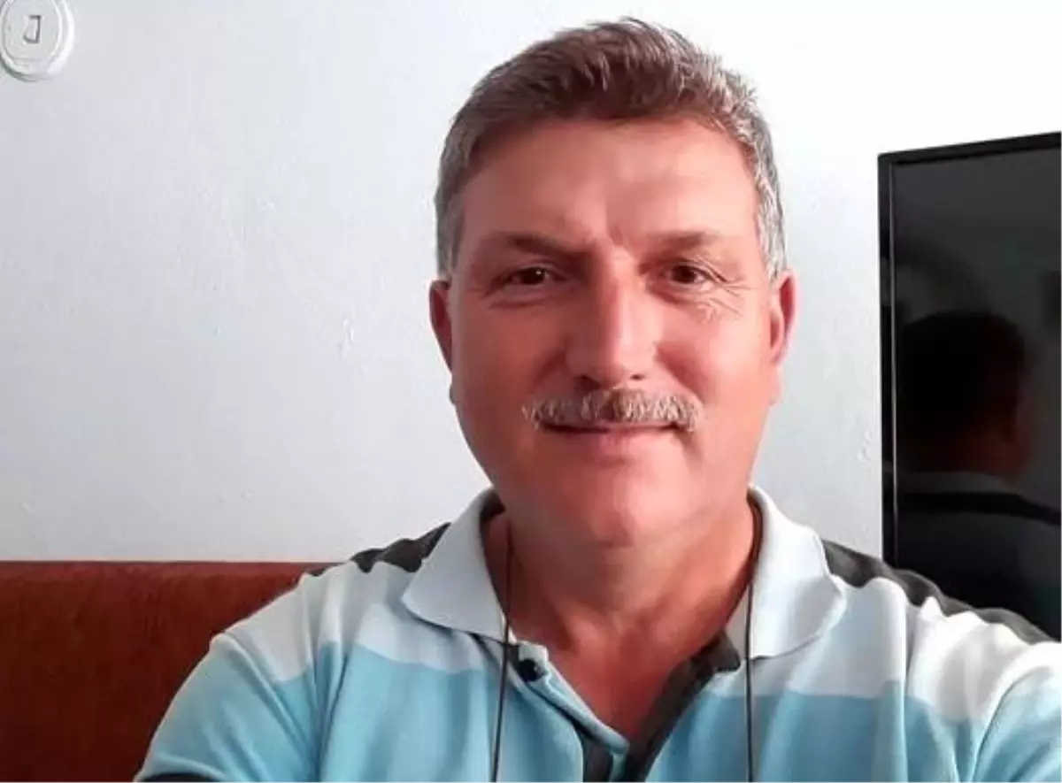 Hobi bahçesinde yaban arılarının yuvasını bozan vatandaşın acı sonu