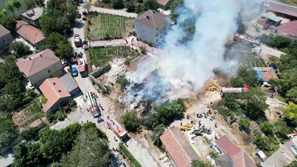 Arnavutköy\'de Yangın: Saman Balyaları Yok Oldu