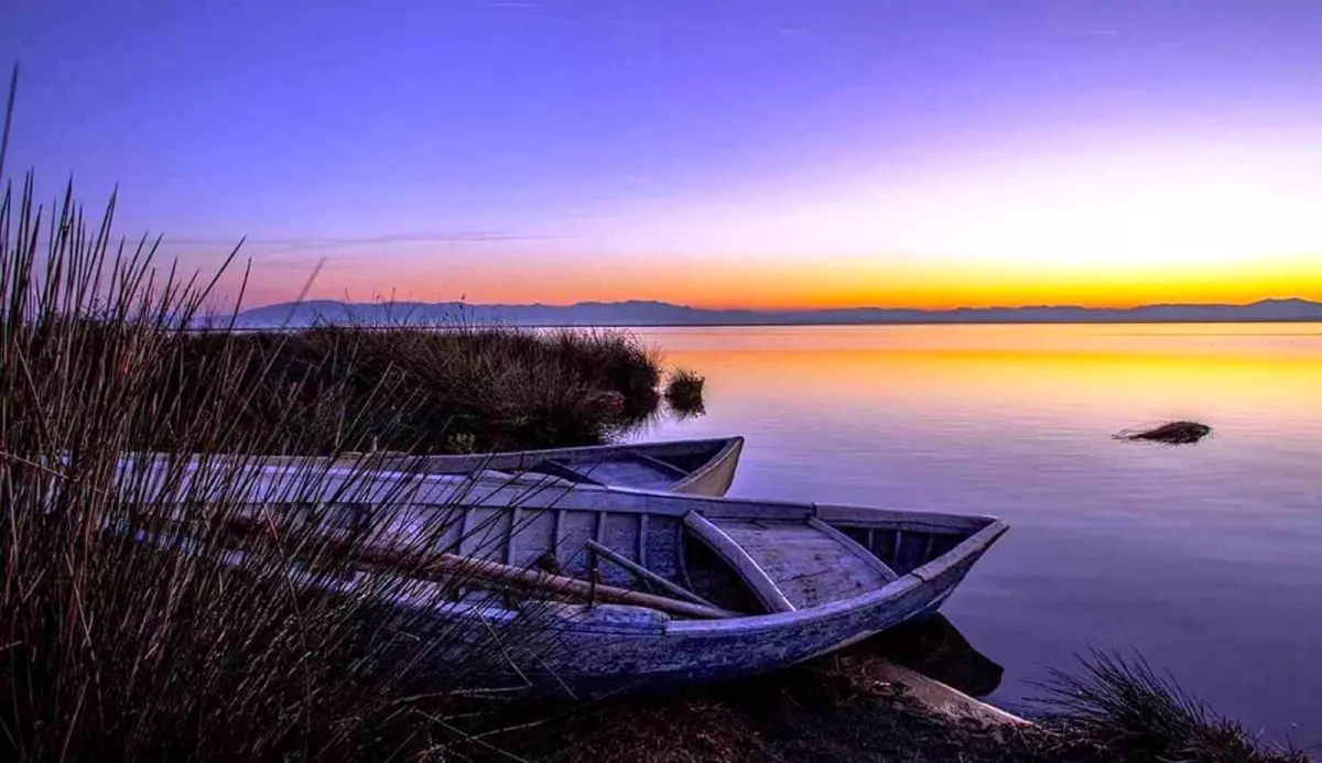 Samsun\'da Av Pulundan 3 Milyon TL Gelir