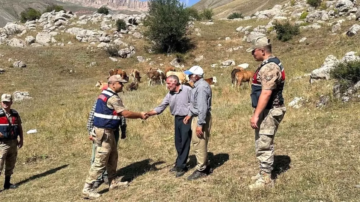 Kayıp Hayvanlar Jandarma Tarafından Bulundu