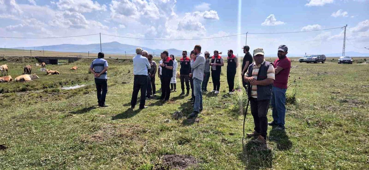 Kars\'ta Hayvan Sağlığı İçin Aşılama ve Dezenfeksiyon