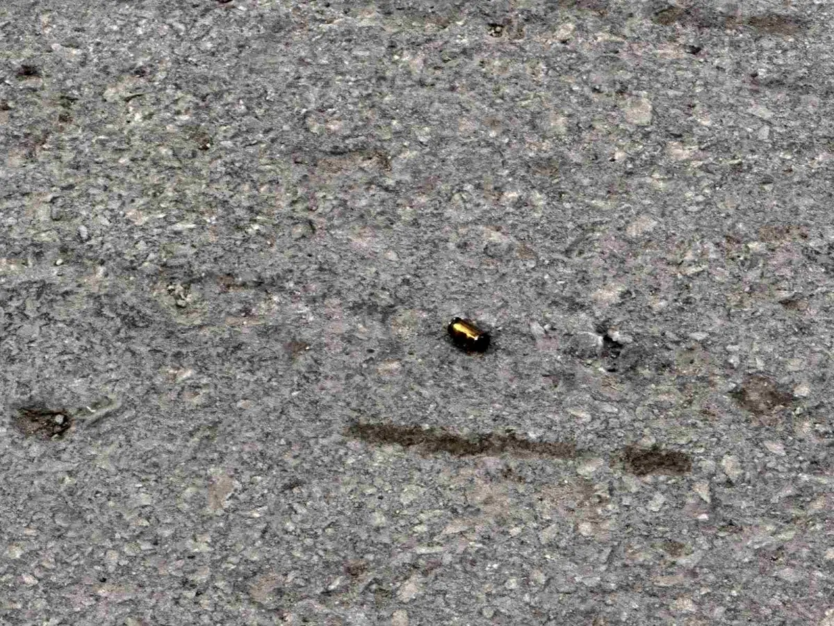 Eskişehir\'de Kurusıkı Tabancayla Ateş Açan Şüpheliler Yakalandı