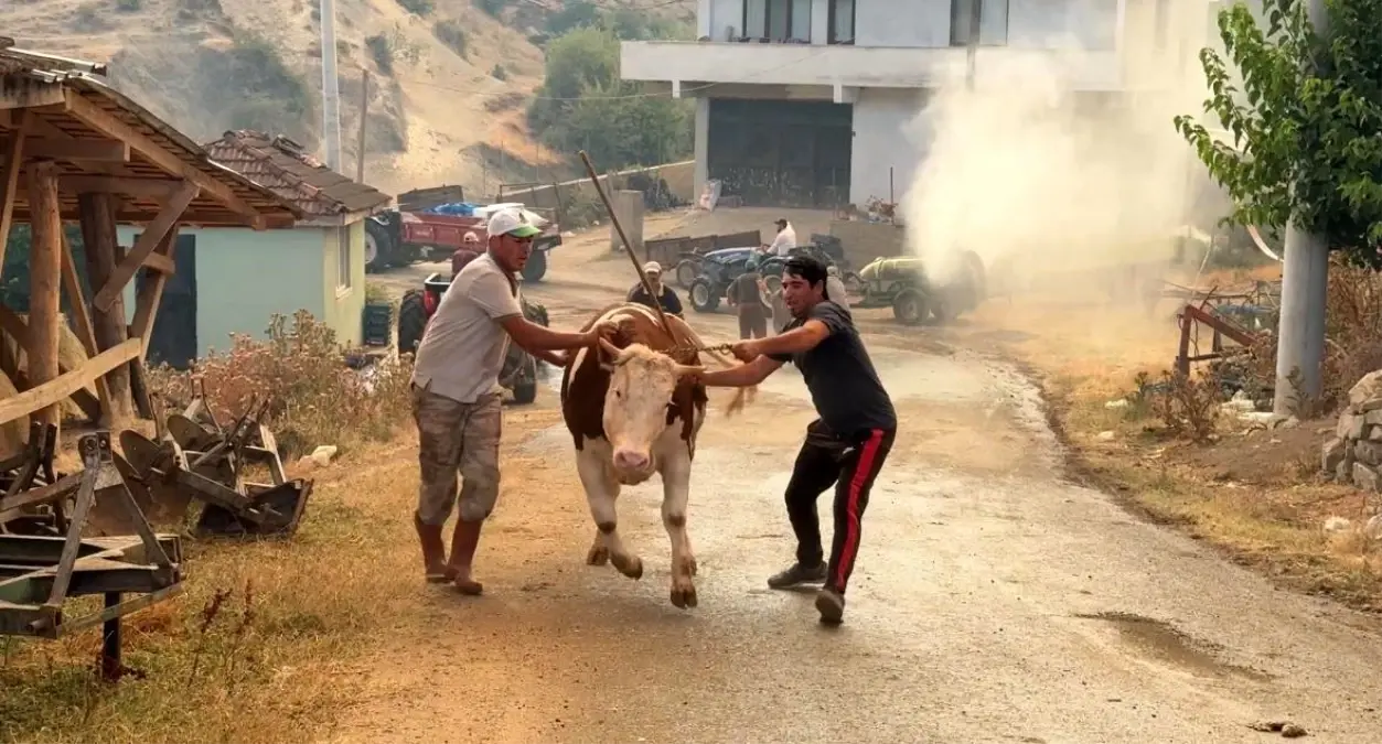  Sakarya\'da orman yangını! Bir mahalle tahliye edildi