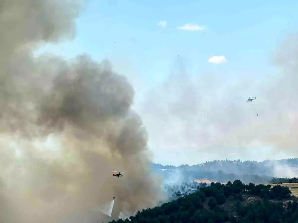 Uşak\'ta Orman Yangınına Müdahale