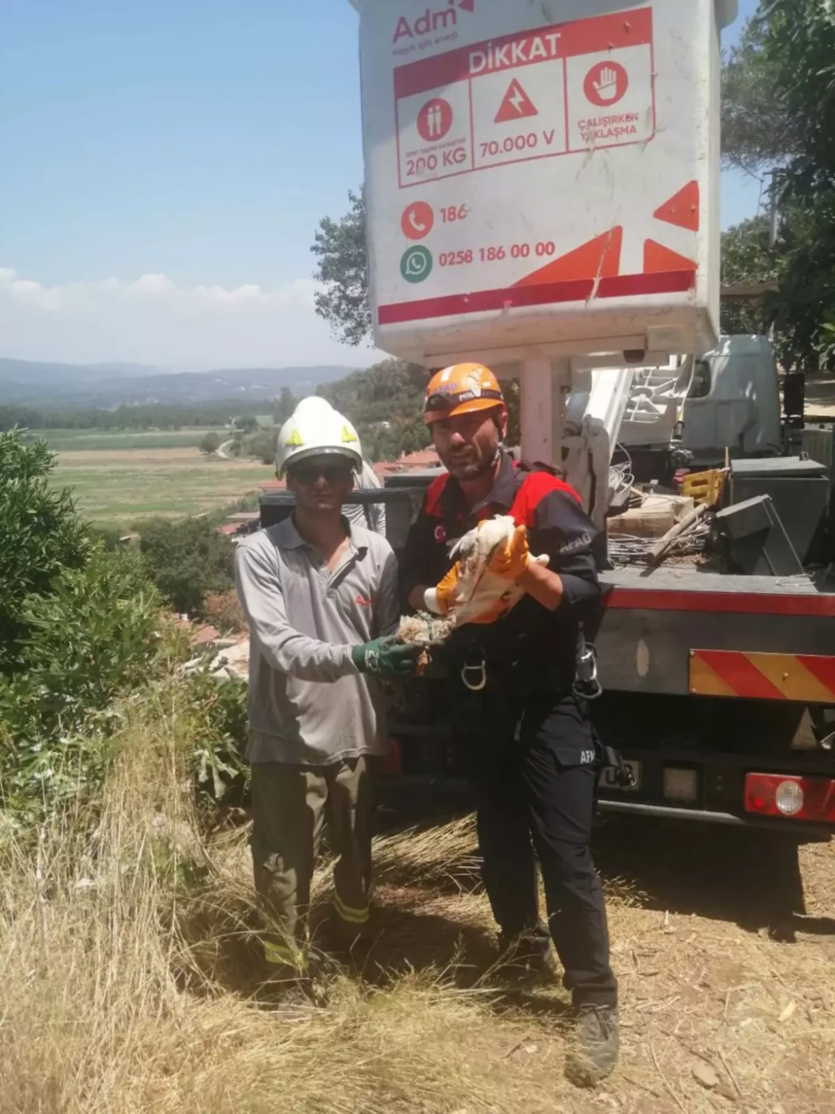 Kırık Ayağı Olan Leylek Kurtarıldı