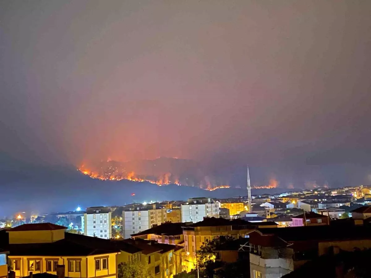 Bilecik\'te Orman Yangını: 4 Köy Boşaltıldı