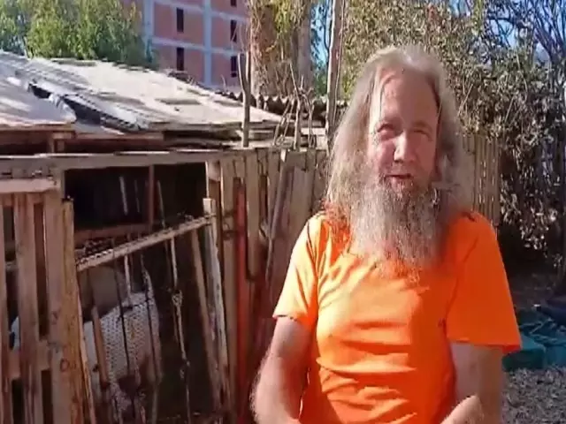 CİMER'e şikayet edilip kümese kapatılan kazlara 'şartlı tahliye'