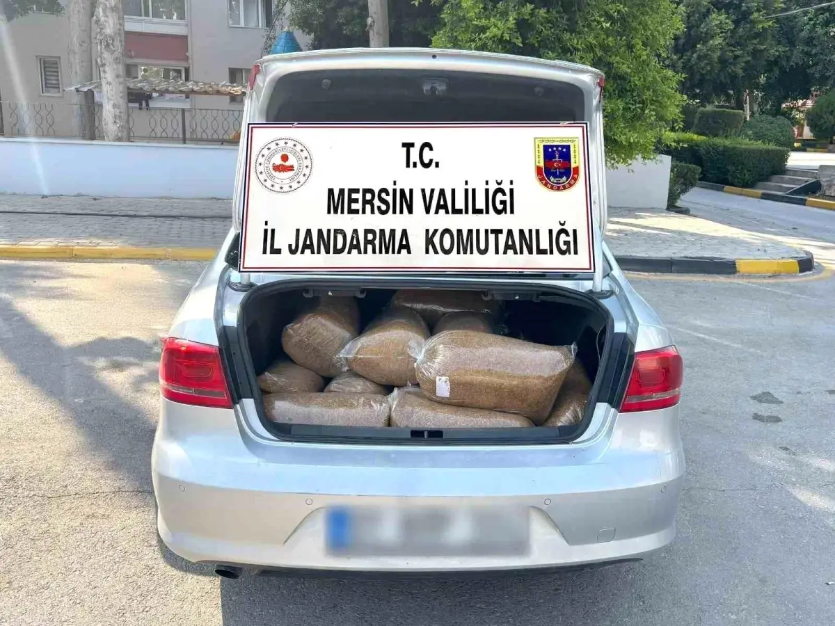 Mersin\'de 100 Kilo Kaçak Tütün Ele Geçirildi
