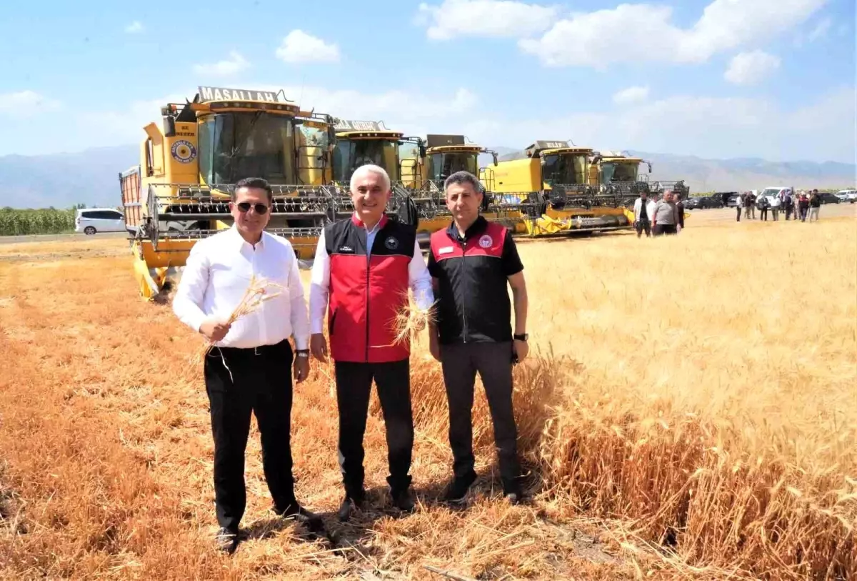 Muş Ovası\'nda 10 Milyar TL\'lik Hububat Hasadı Beklentisi