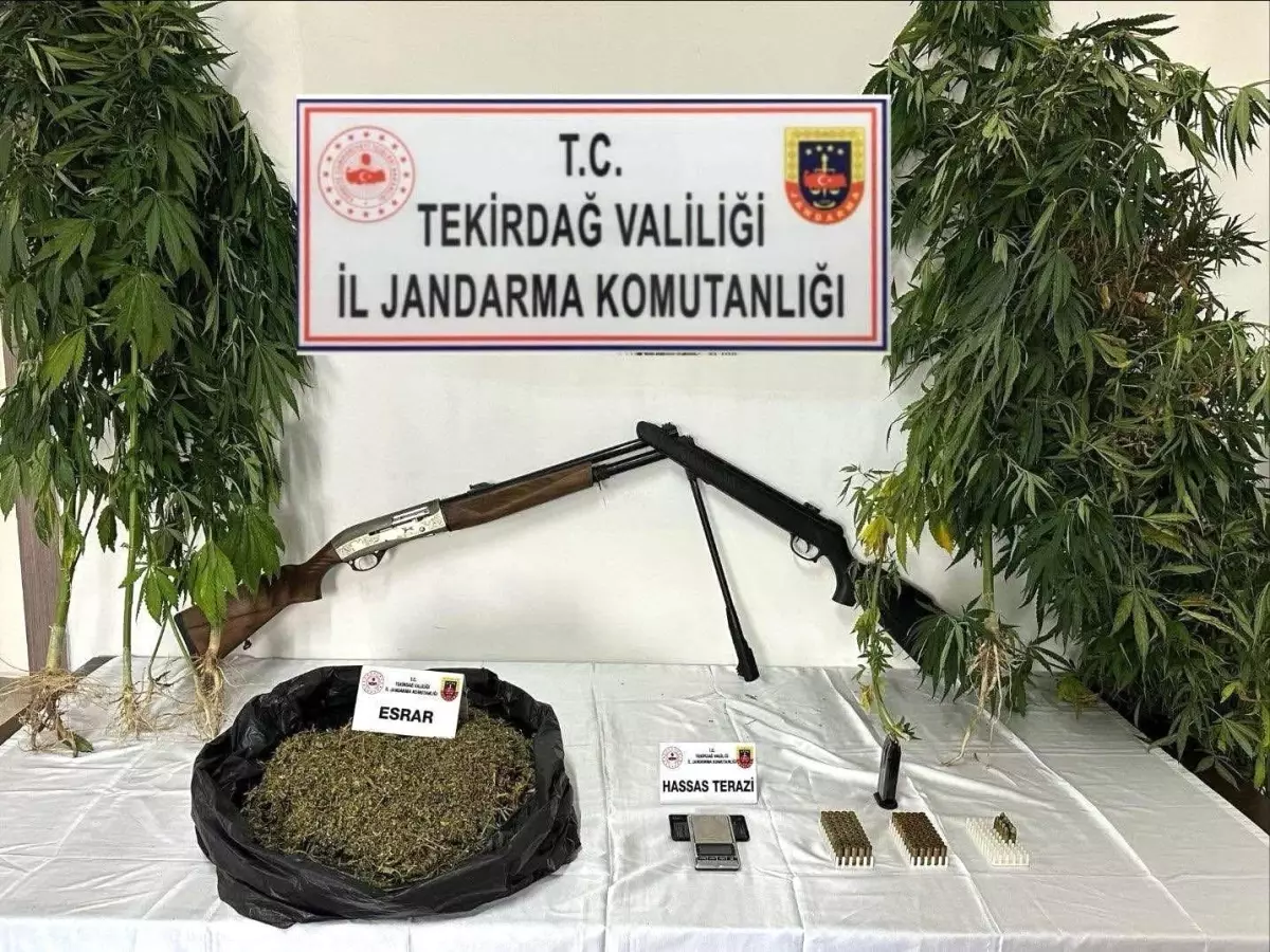 Tekirdağ\'da Uyuşturucu Operasyonları