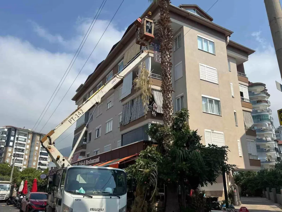 Alanya\'da Yangın Riskine Karşı Elektrik Hatları Yakınında Budama Çalışması Yapıldı