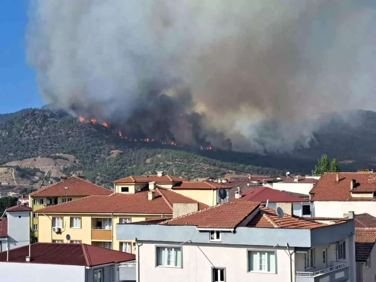Bilecik\'te Orman Yangını: 4 Köy Tahliye Edildi
