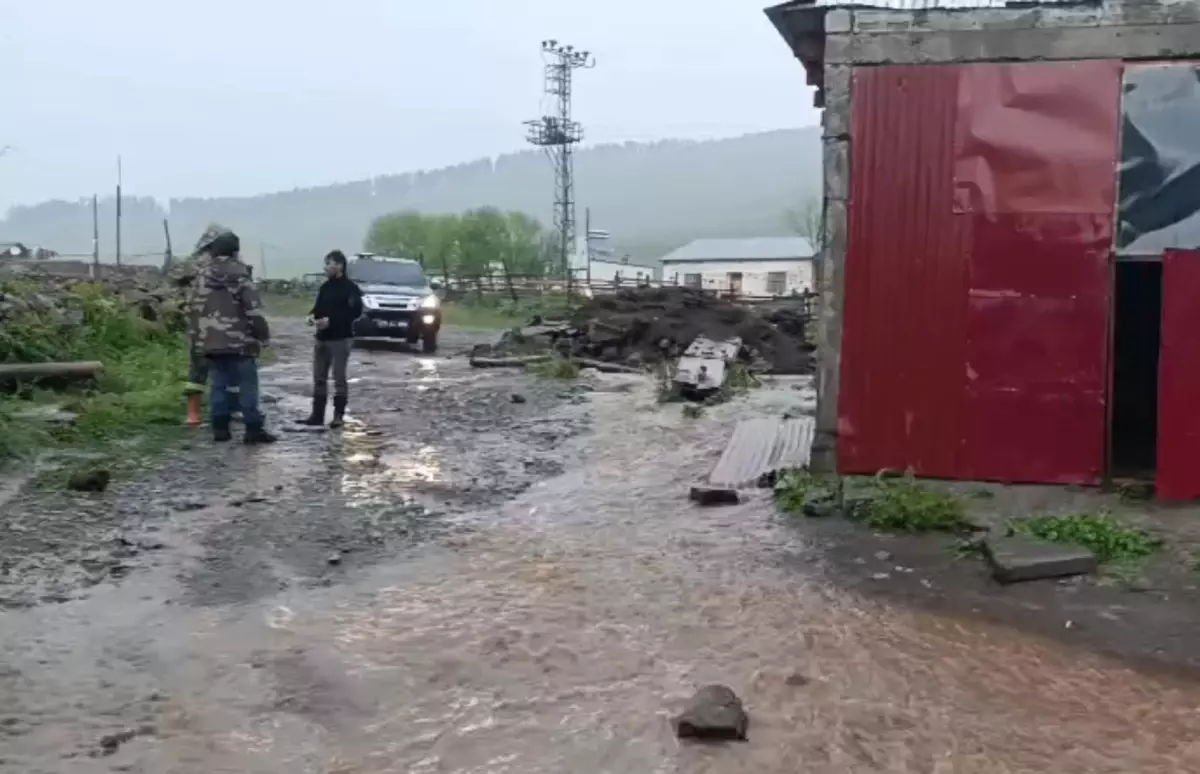 İki ilde sağanak yağış sele neden oldu