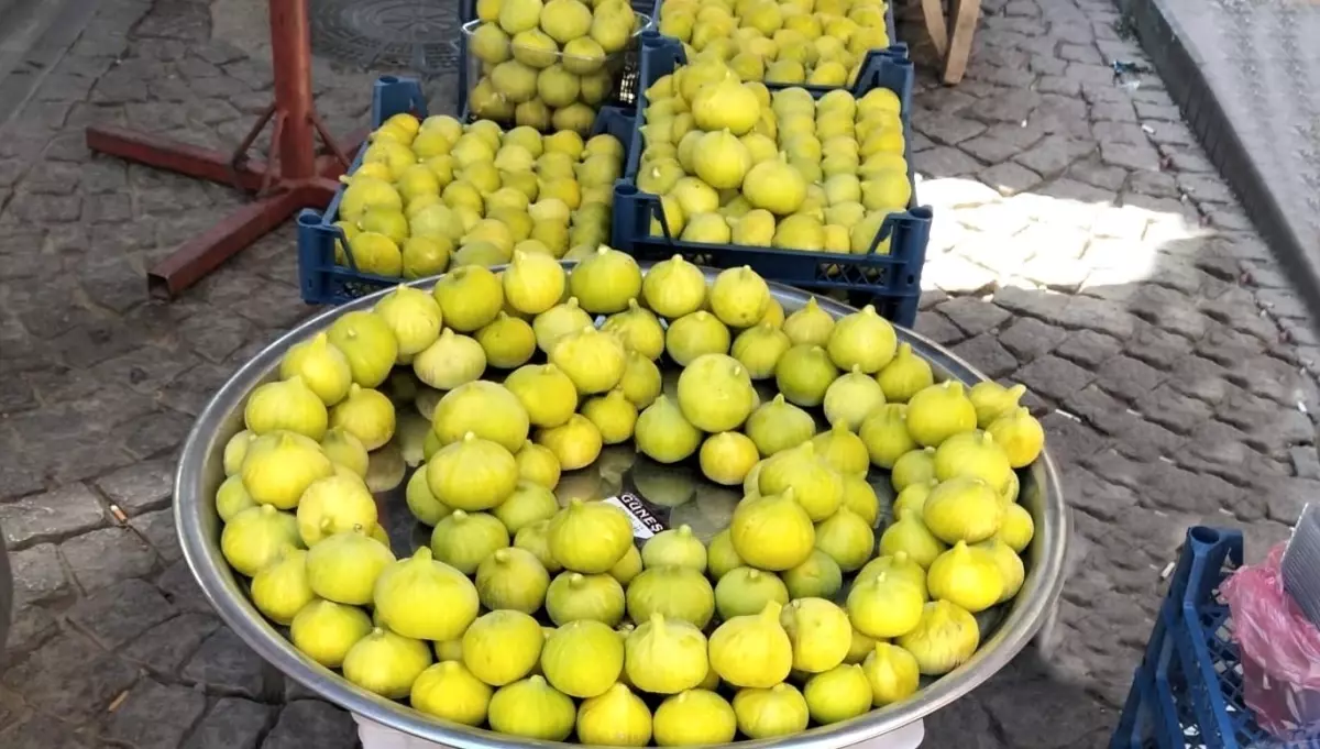 Aydın\'da İncir Sezonu Başladı