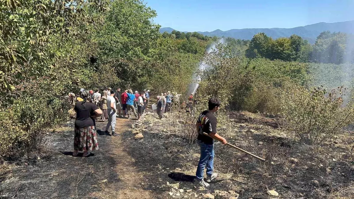 Alaplı\'da Fındık Bahçesinde Yangın: Hasar Sınırlı Kaldı