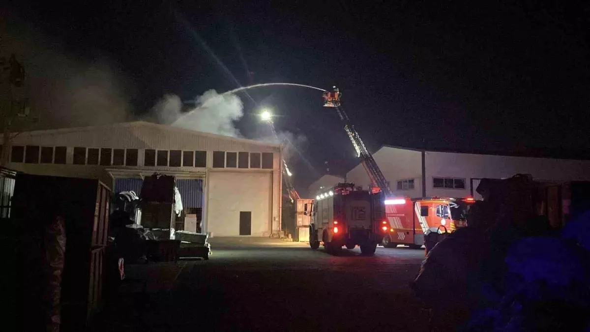 Kocaeli\'nde Kimya Firmasında Yangın Çıktı