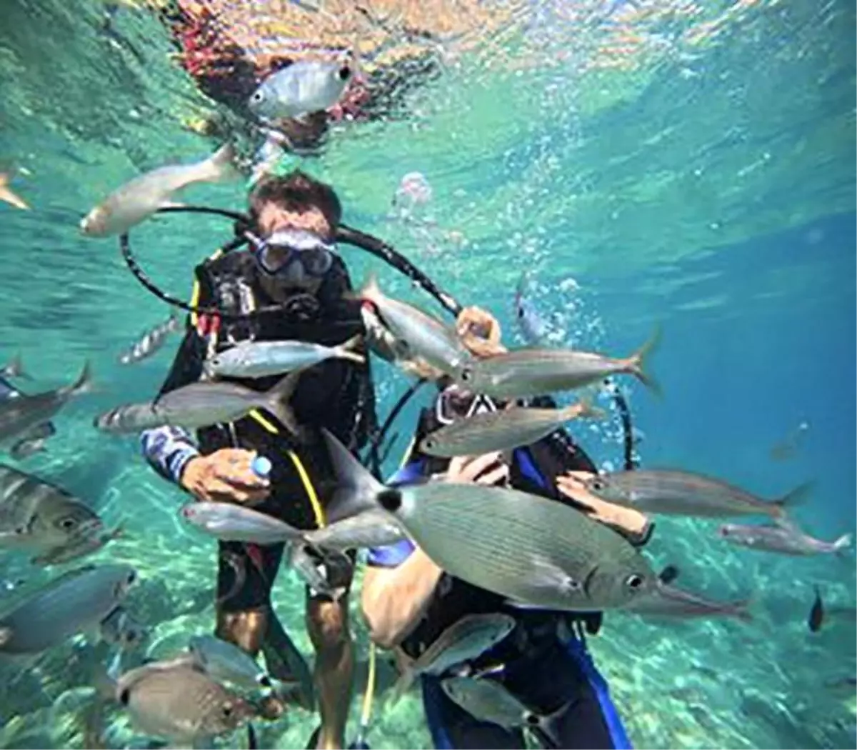Marmaris\'te Dalış Tutkusu Artıyor
