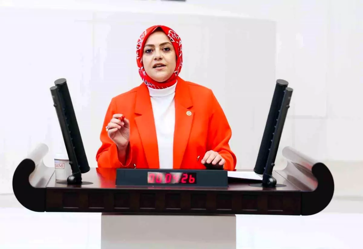 Sema Silkin Ün Sağlık Teklifini Eleştirdi