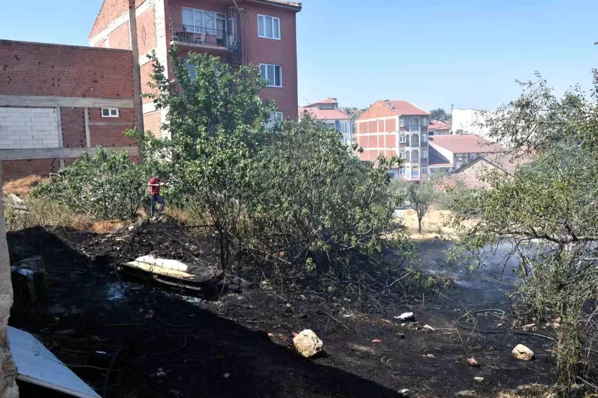 Bilecik\'te Ot Yangını Kontrol Altına Alındı