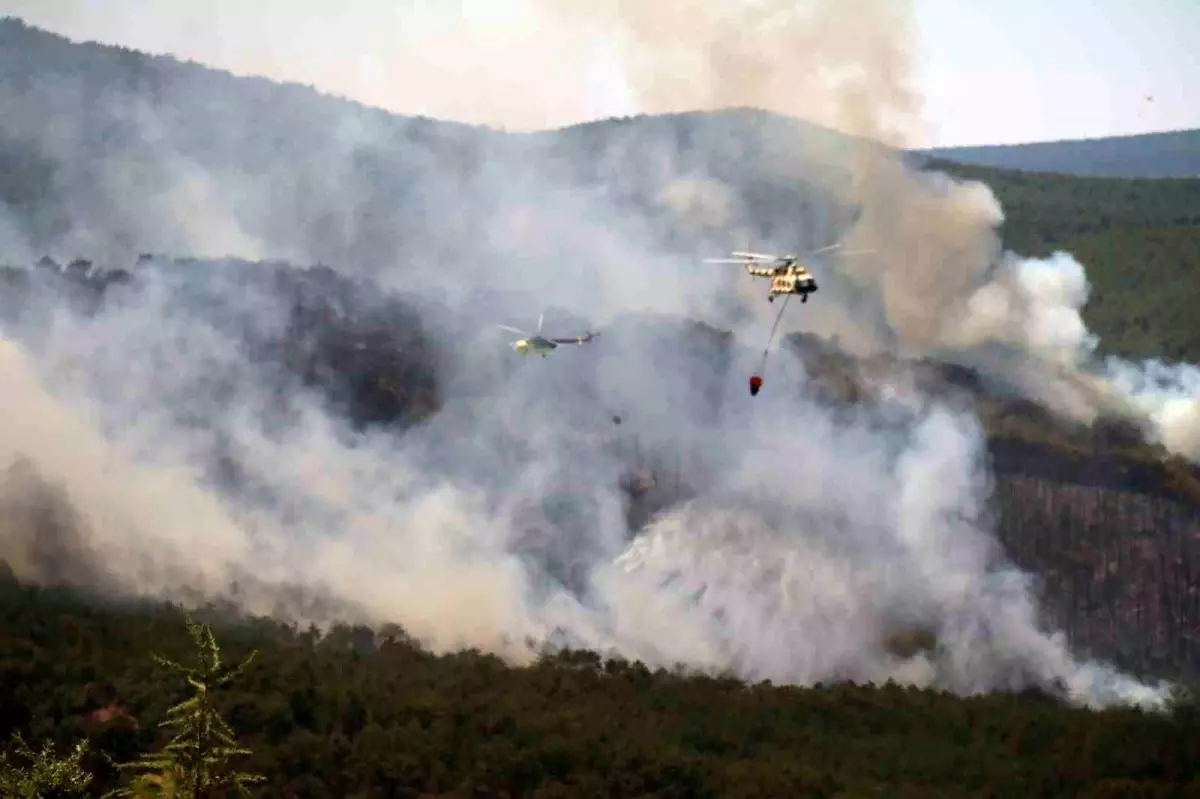 Eskişehir\'de Orman Yangını Sürüyor