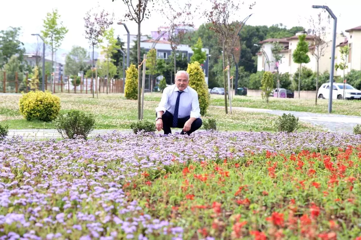Durugöl, Ranta Değil Halkın Kullanımına Açıldı