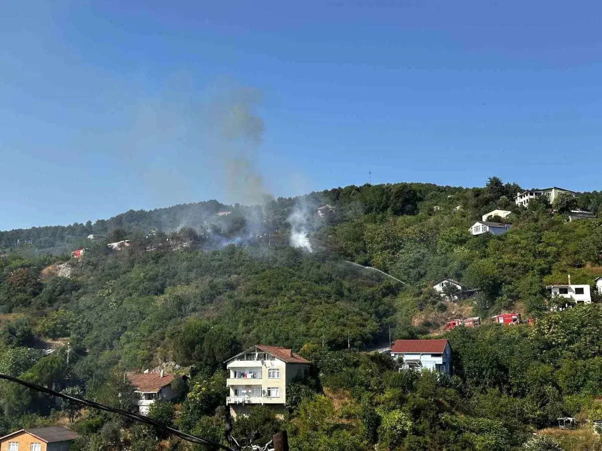 Beykoz Ormanında Yangın Çıktı