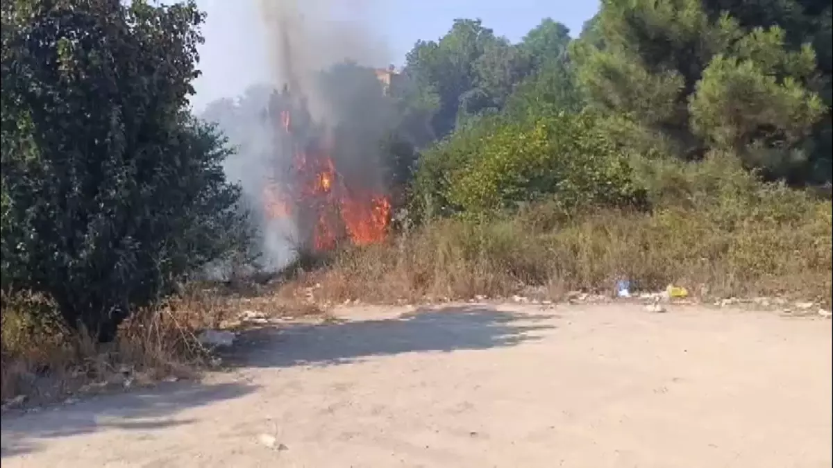 Beykoz\'da Orman Yangını Kontrol Altında