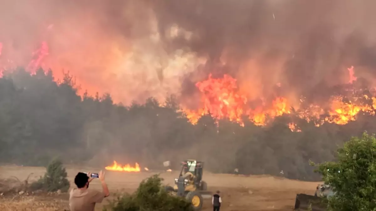 Bilecik\'te Orman Yangını Büyüyor