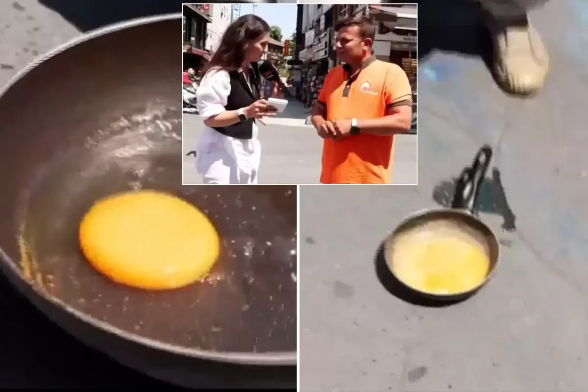 Canlı yayında bir garip \'\'yumurta pişirme\'\' deneyi! İzleyenler pek inanmadı
