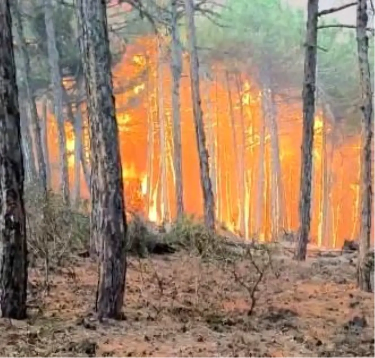 Eskişehir\'de Yangın Anında Korku Dolu Anlar