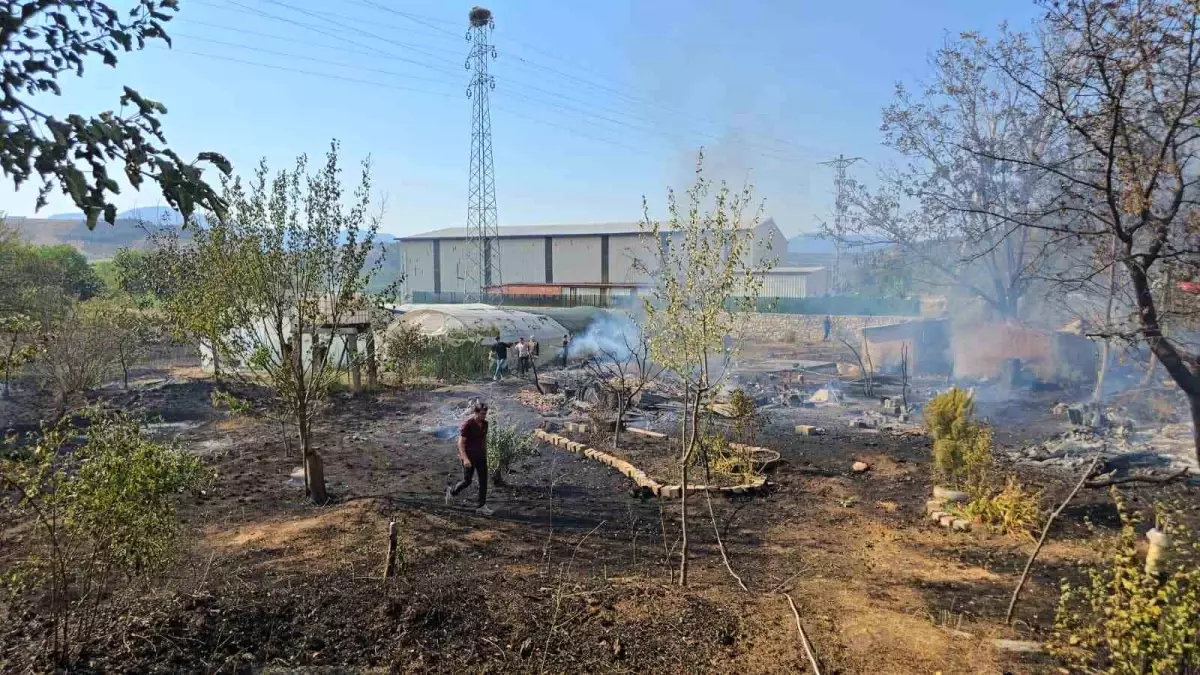 Karabük\'te Yangın: Evler ve Seralar Zarar Gördü