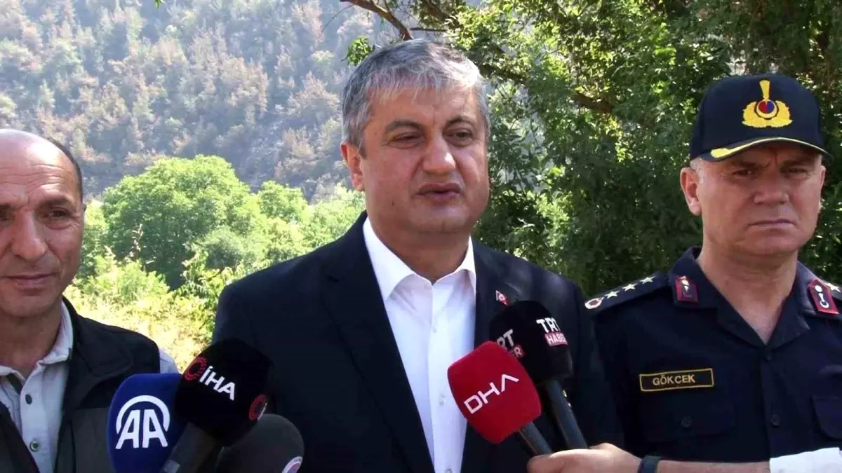 Karabük\'teki Orman Yangını Kontrol Altına Alındı