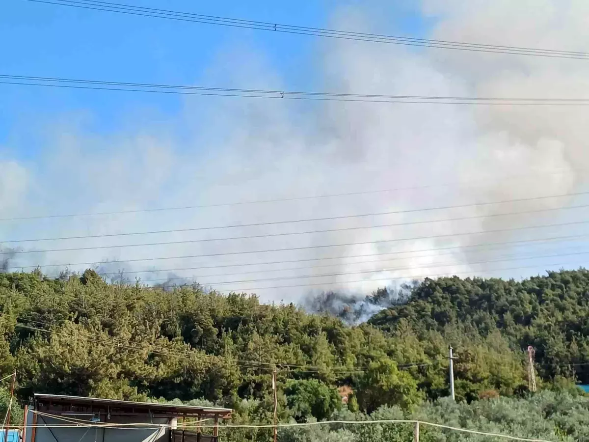Manisa\'da Orman Yangını