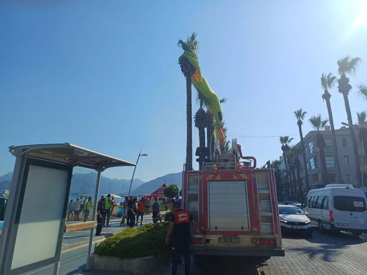 Marmaris\'te Paraşütçüler Palmiye Ağacına Takıldı
