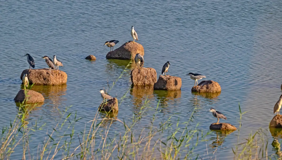 Diyarbakır\'da Su Seviyeleri Düşüyor