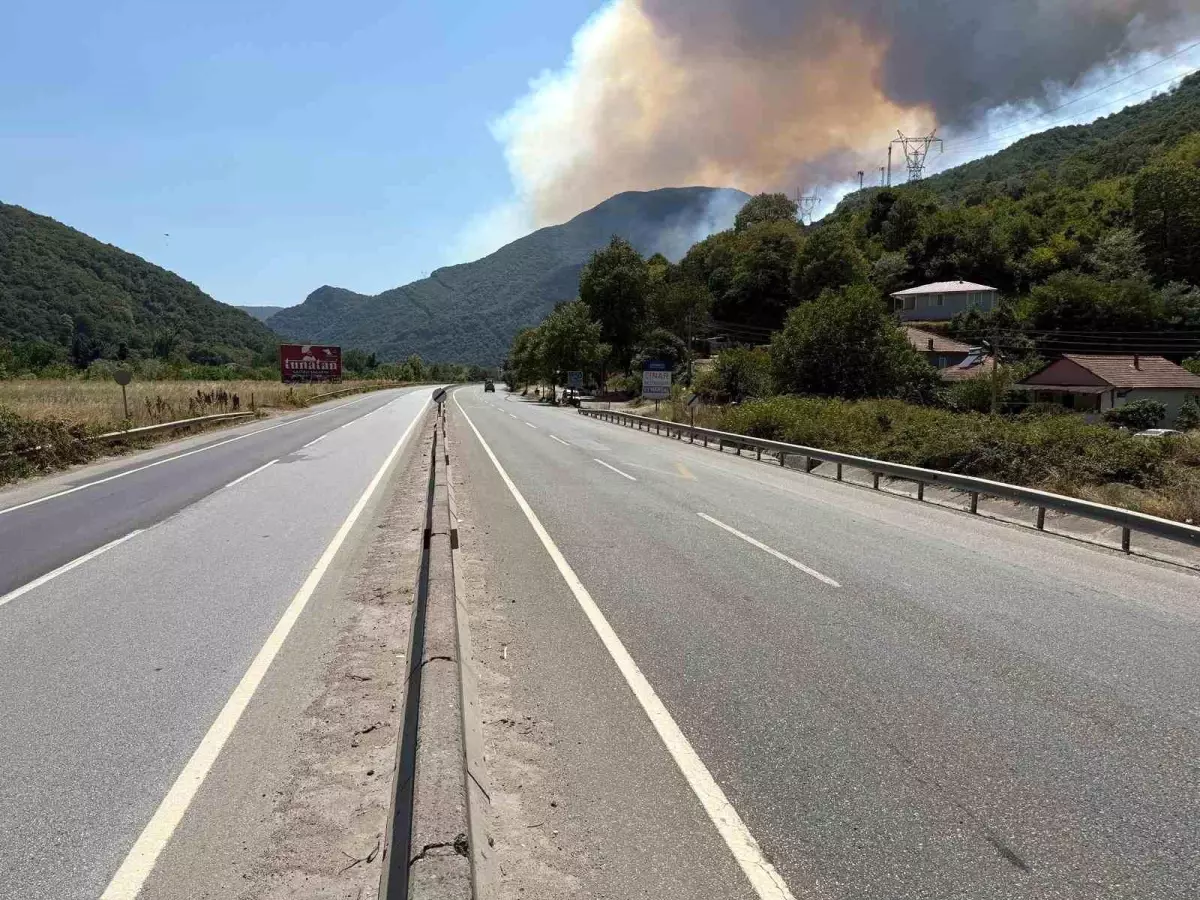 Geyve\'de Orman Yangını: Trafik Kapandı