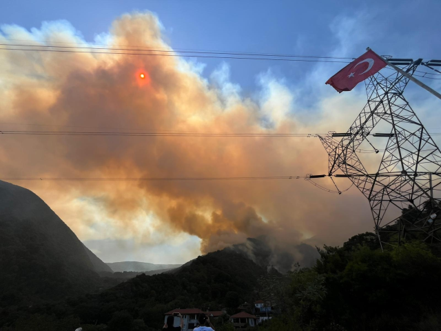 Sakarya'da yeni orman yangını! Karayolu ulaşıma kapatıldı