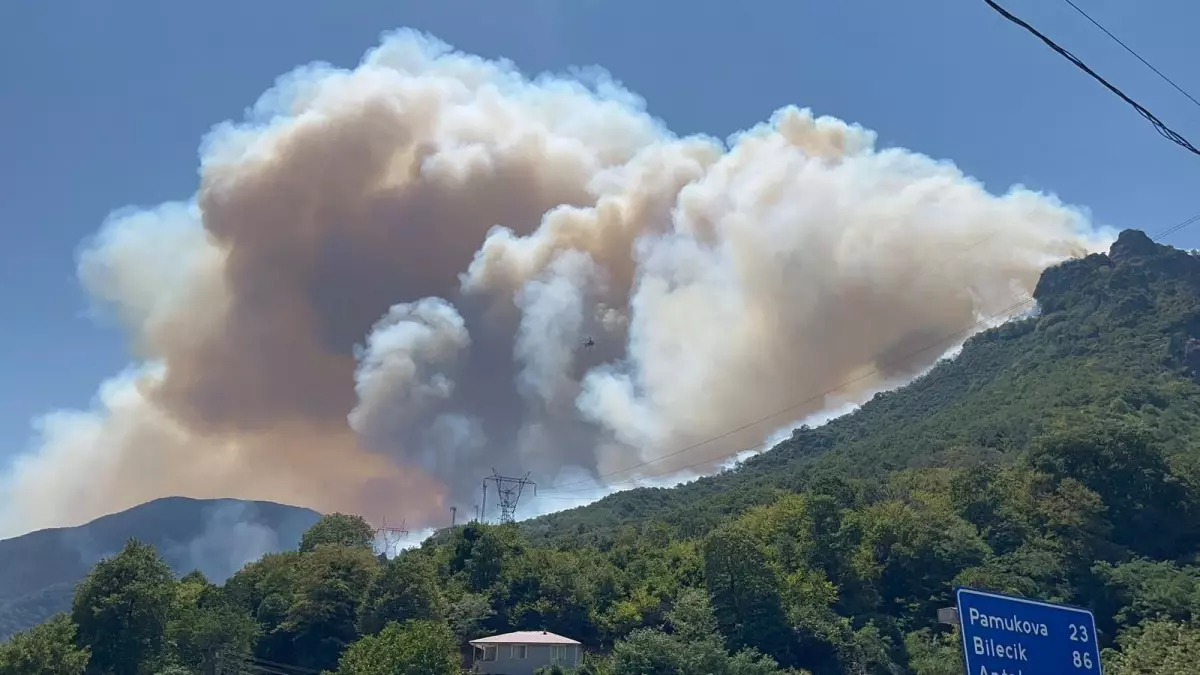 Geyve\'de Orman Yangınına Havadan Müdahale