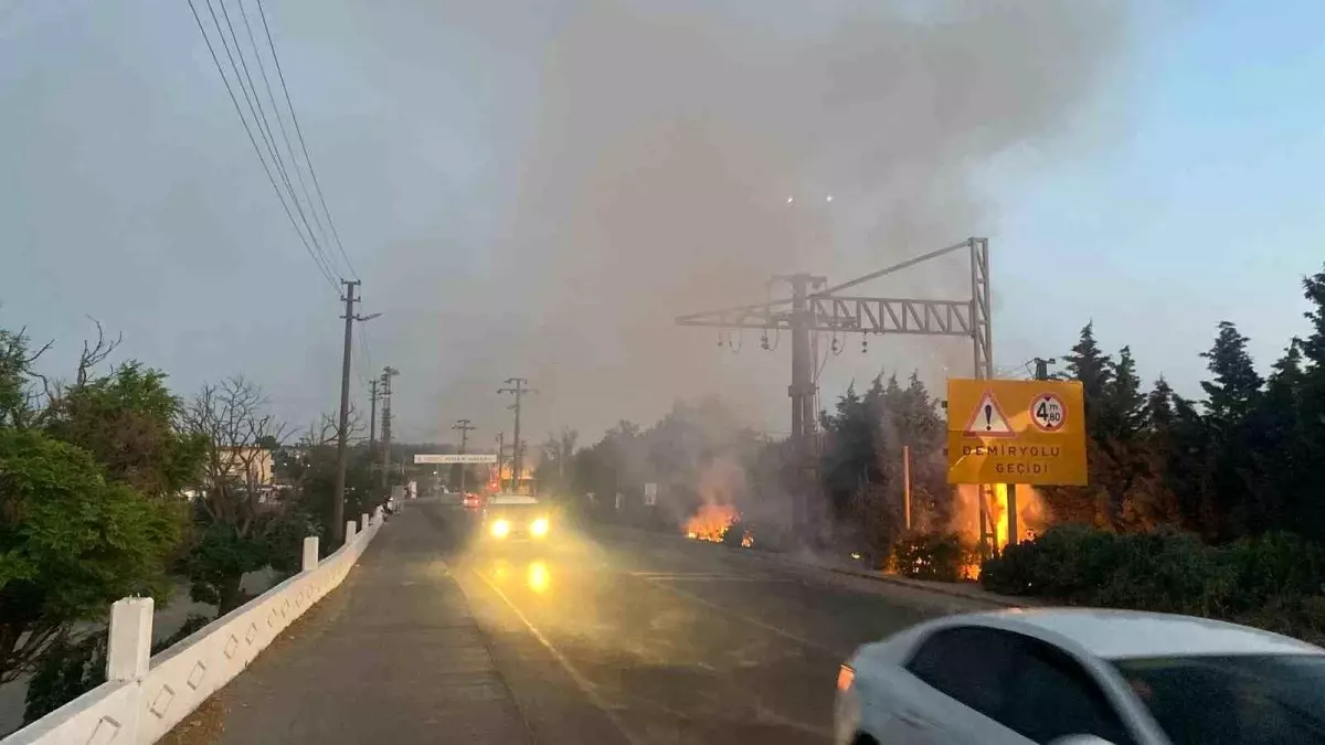 Tekirdağ\'da Yangın Söndürüldü