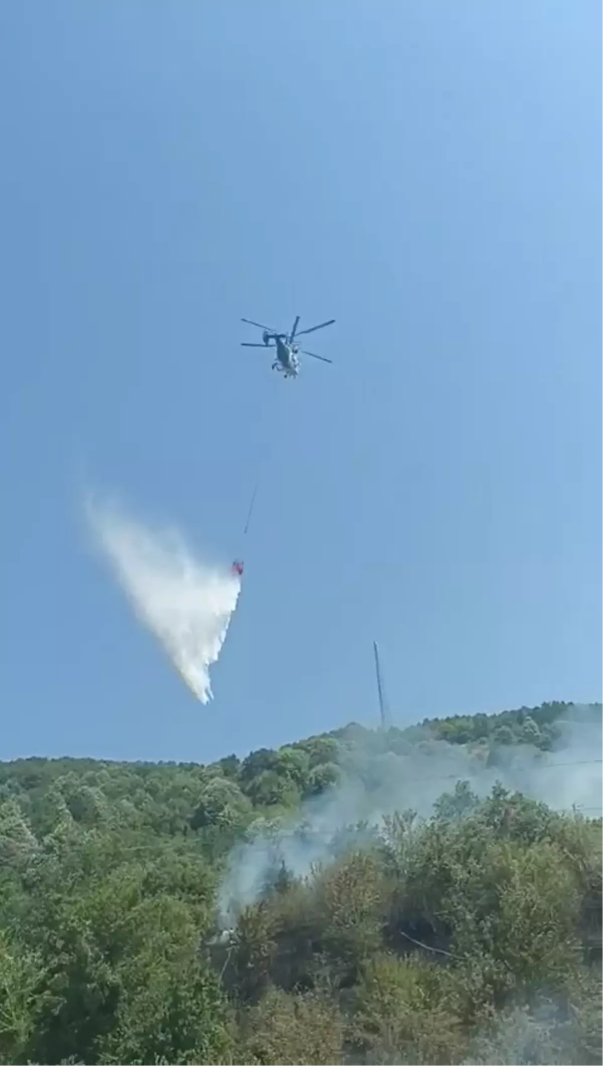 Kozcağız\'da Orman Yangını Kontrol Altına Alındı